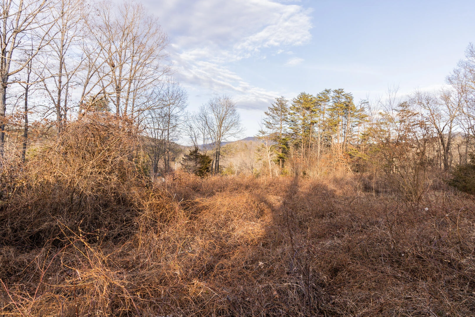 1603/1605 Summit Dr - Photo 5