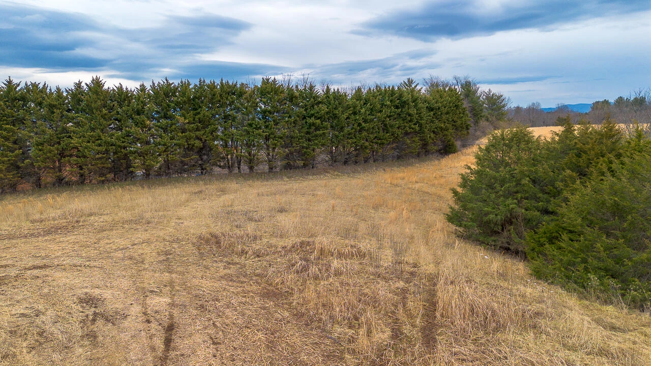 Lot 8 Buckland Dr - Photo 2