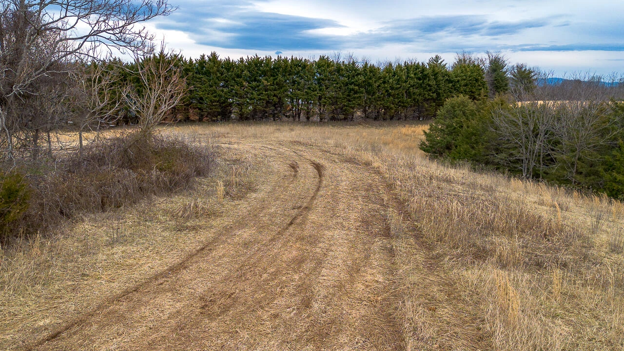 Lot 8 Buckland Dr - Photo 3