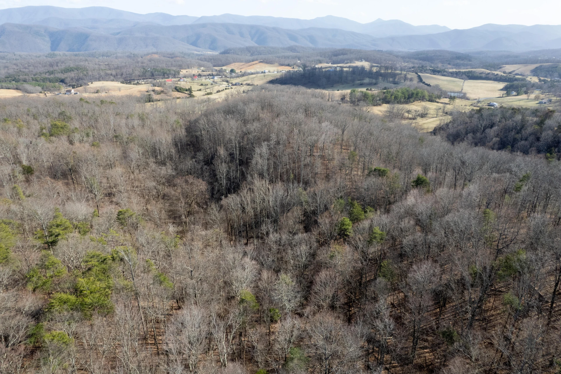 000 Short Hill Dr - Photo 11