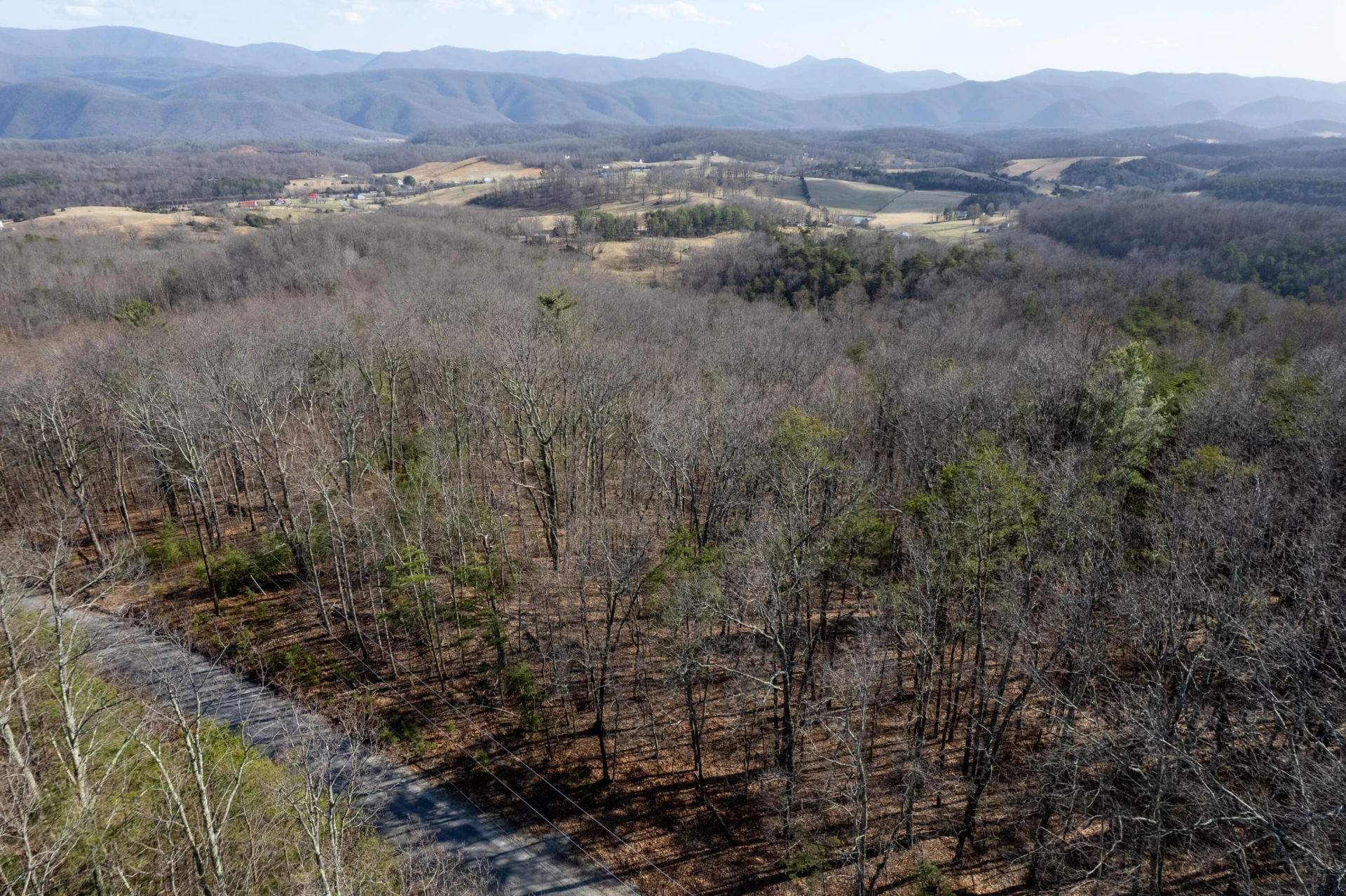 000 Short Hill Dr - Photo 12