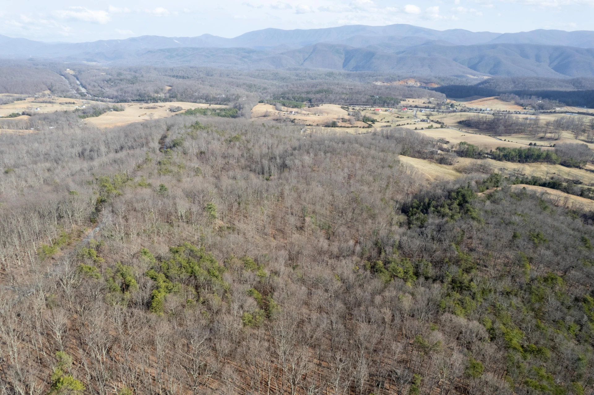 000 Short Hill Dr - Photo 15