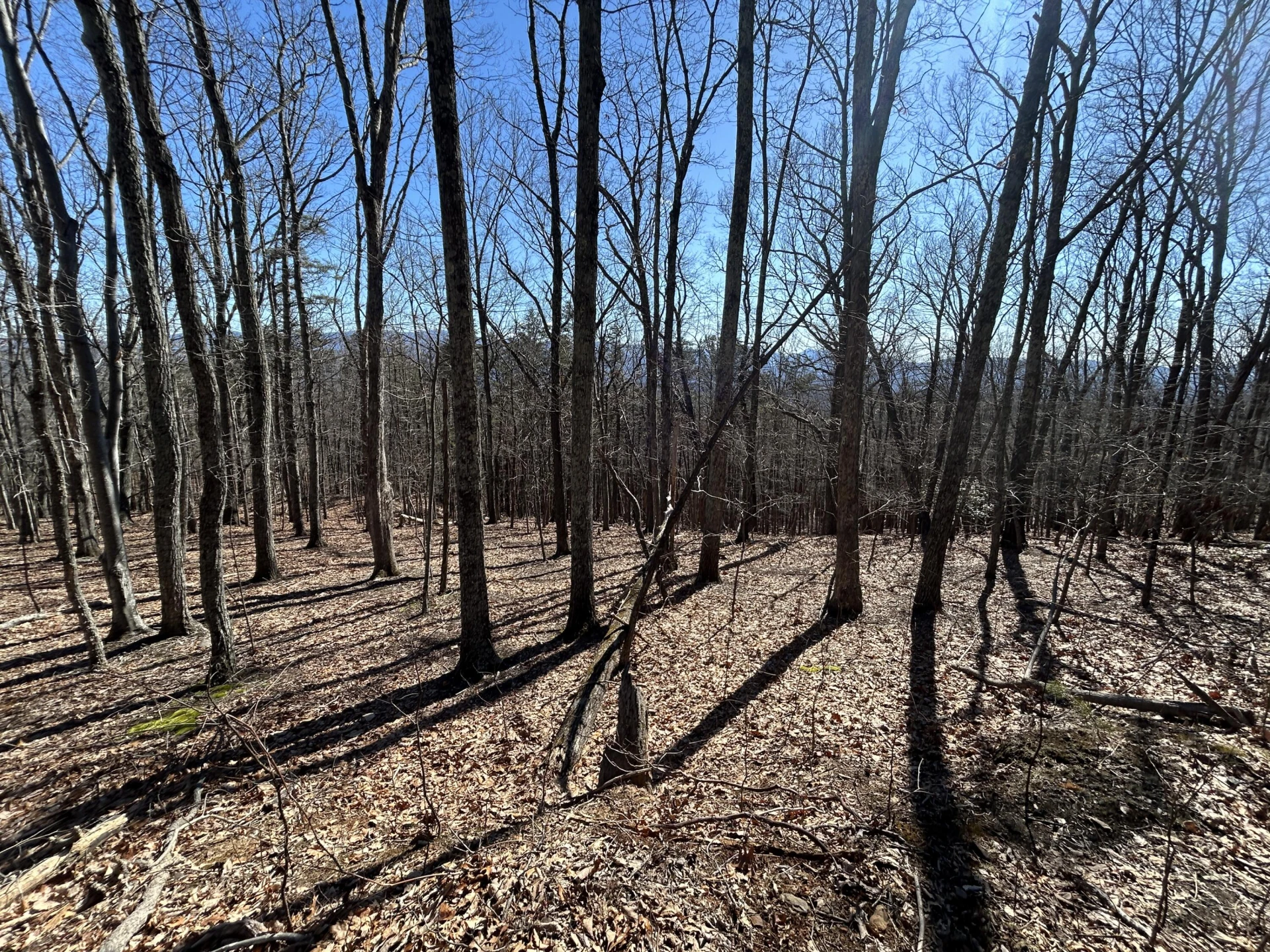 000 Short Hill Dr - Photo 18