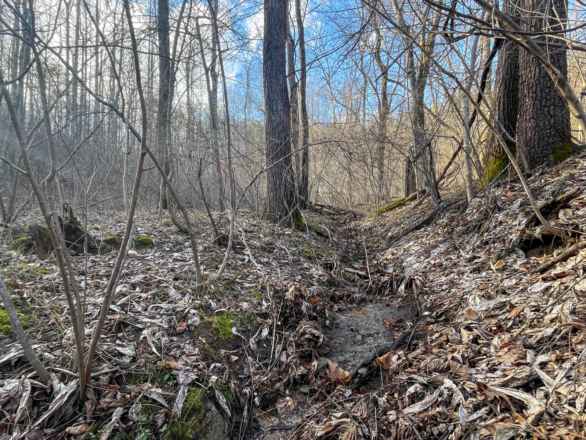 000 Short Hill Dr - Photo 2
