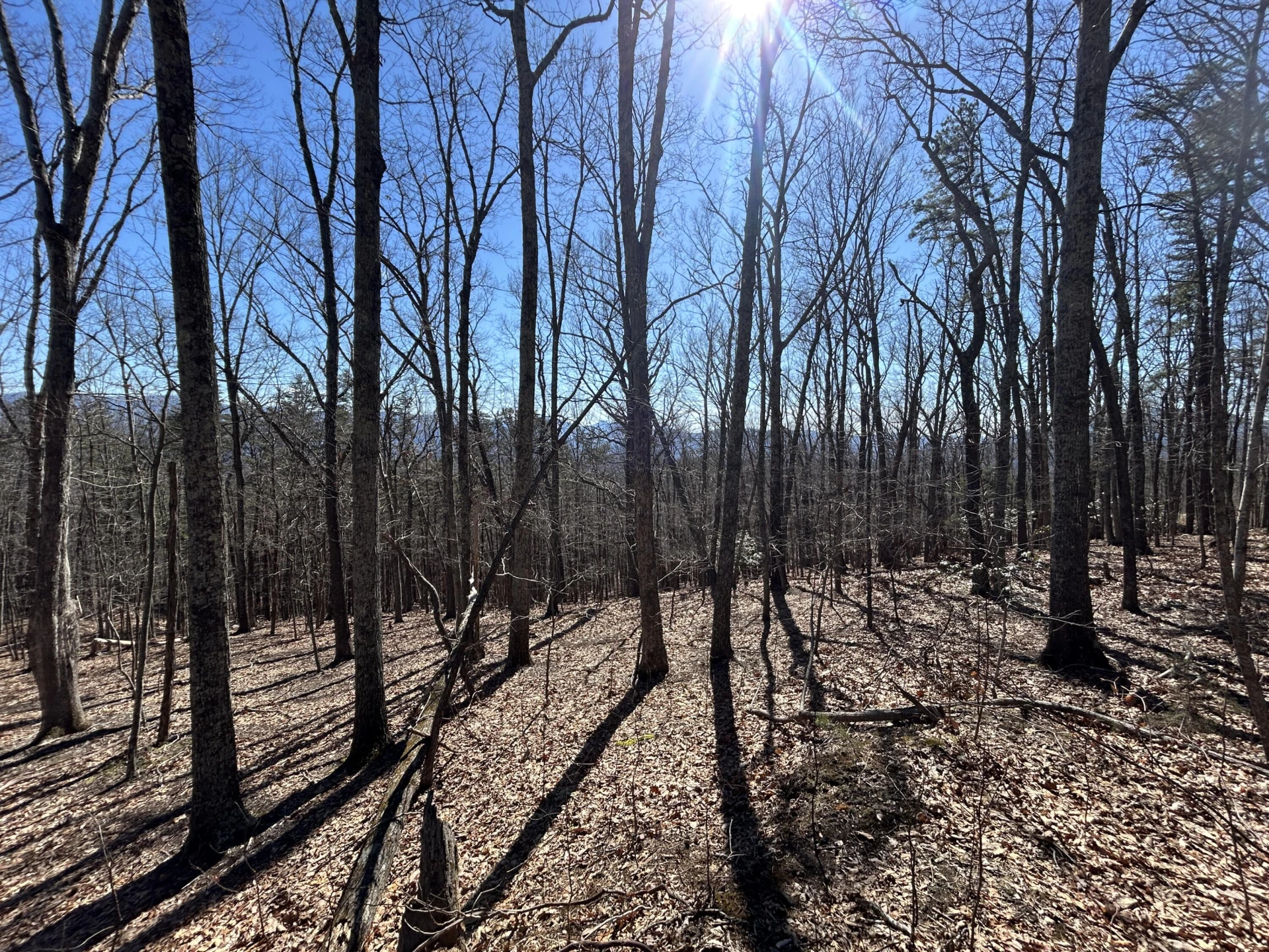 000 Short Hill Dr - Photo 20