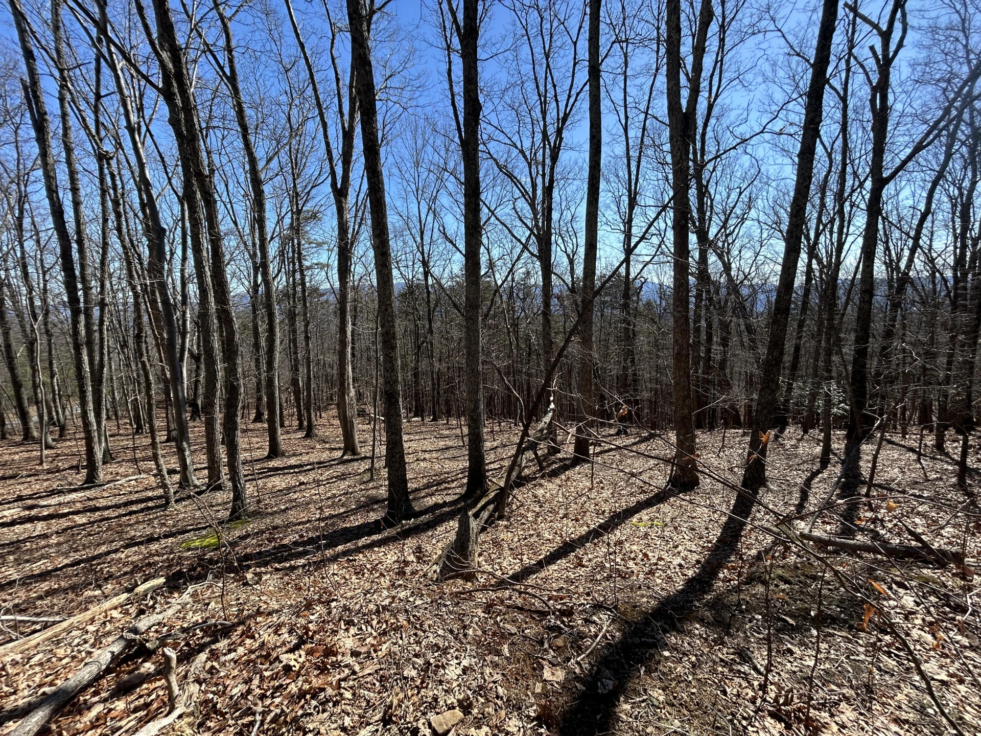000 Short Hill Dr - Photo 21