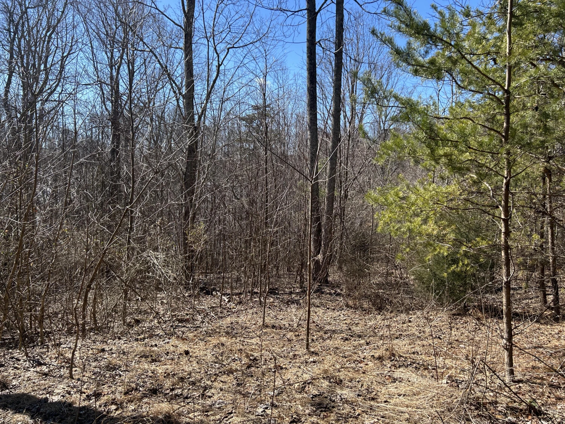 000 Short Hill Dr - Photo 22