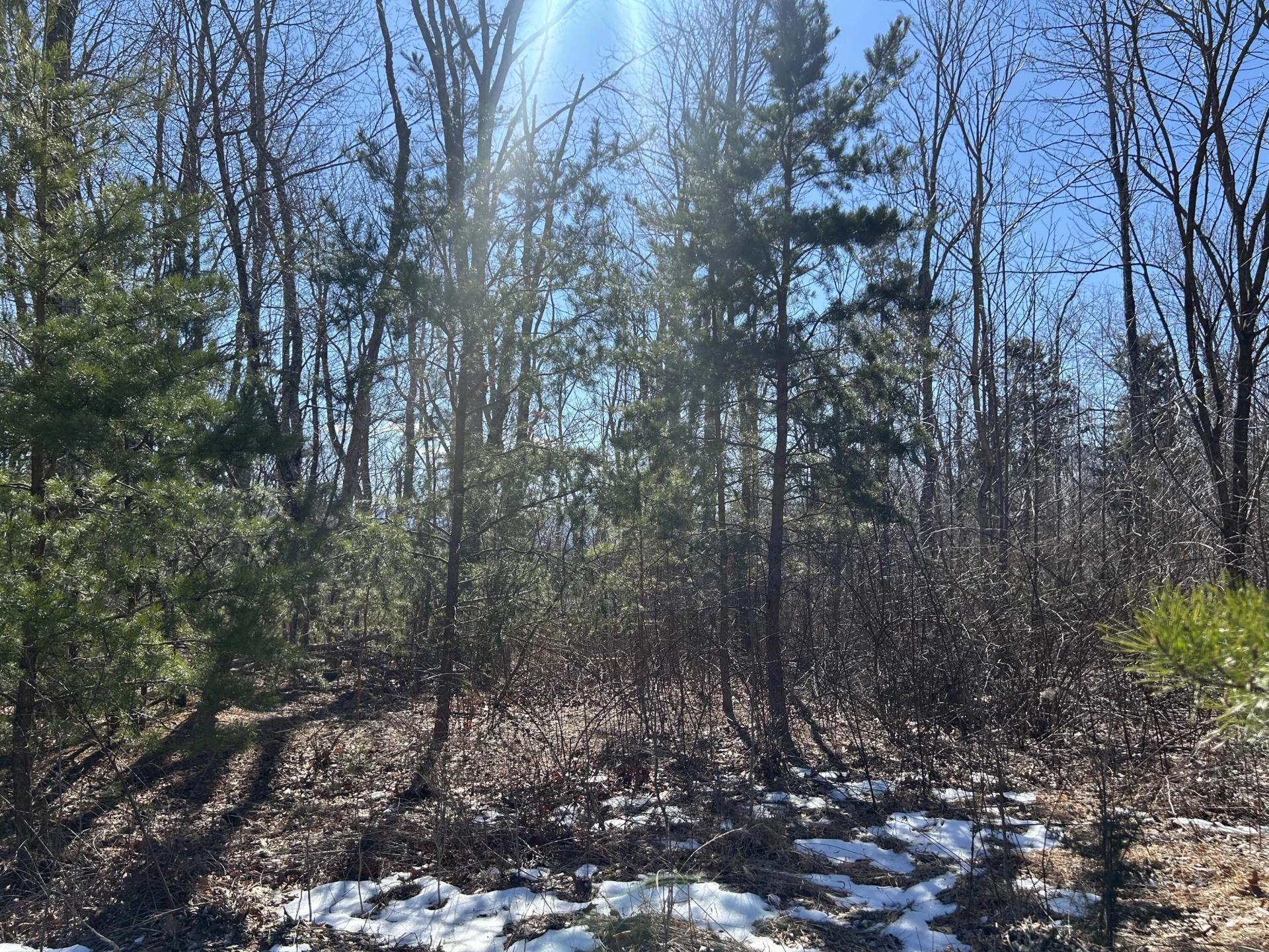 000 Short Hill Dr - Photo 23