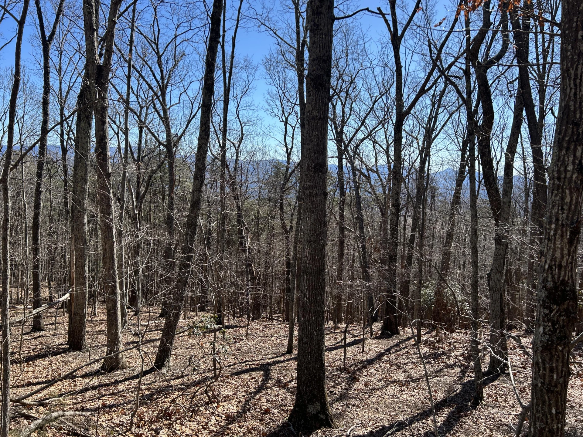 000 Short Hill Dr - Photo 24