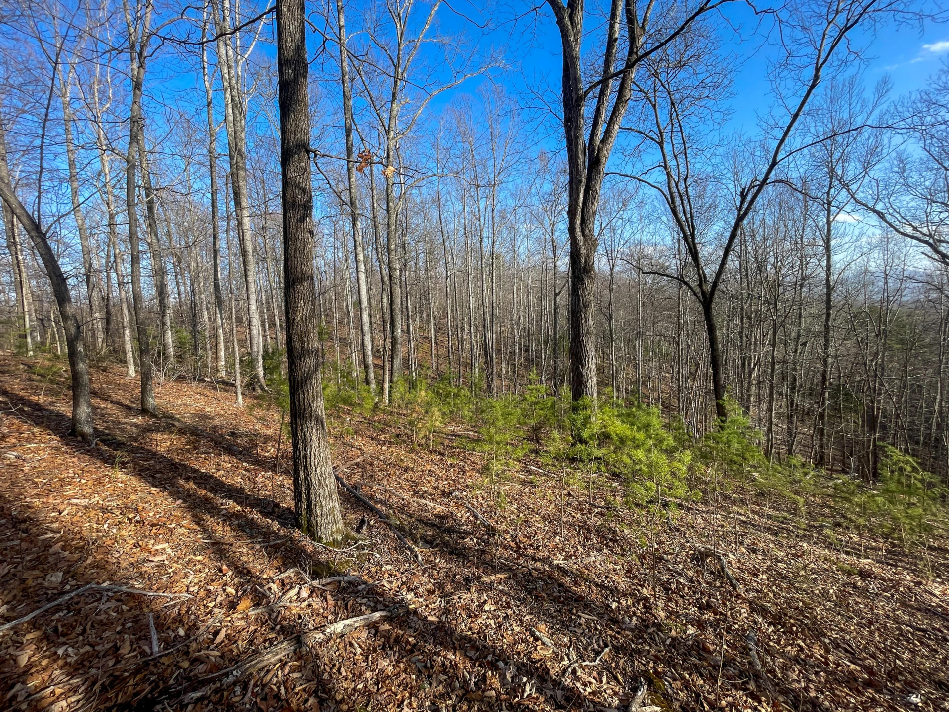 000 Short Hill Dr - Photo 4