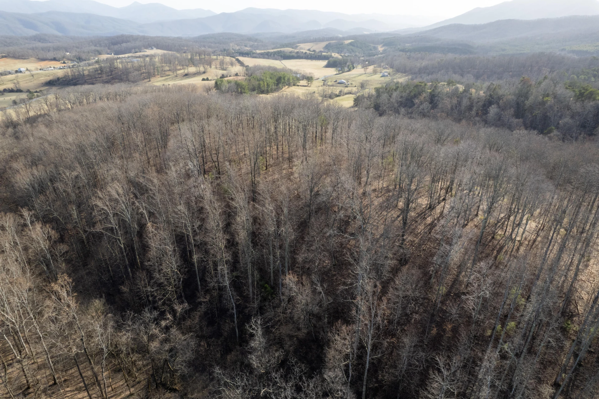 000 Short Hill Dr - Photo 14