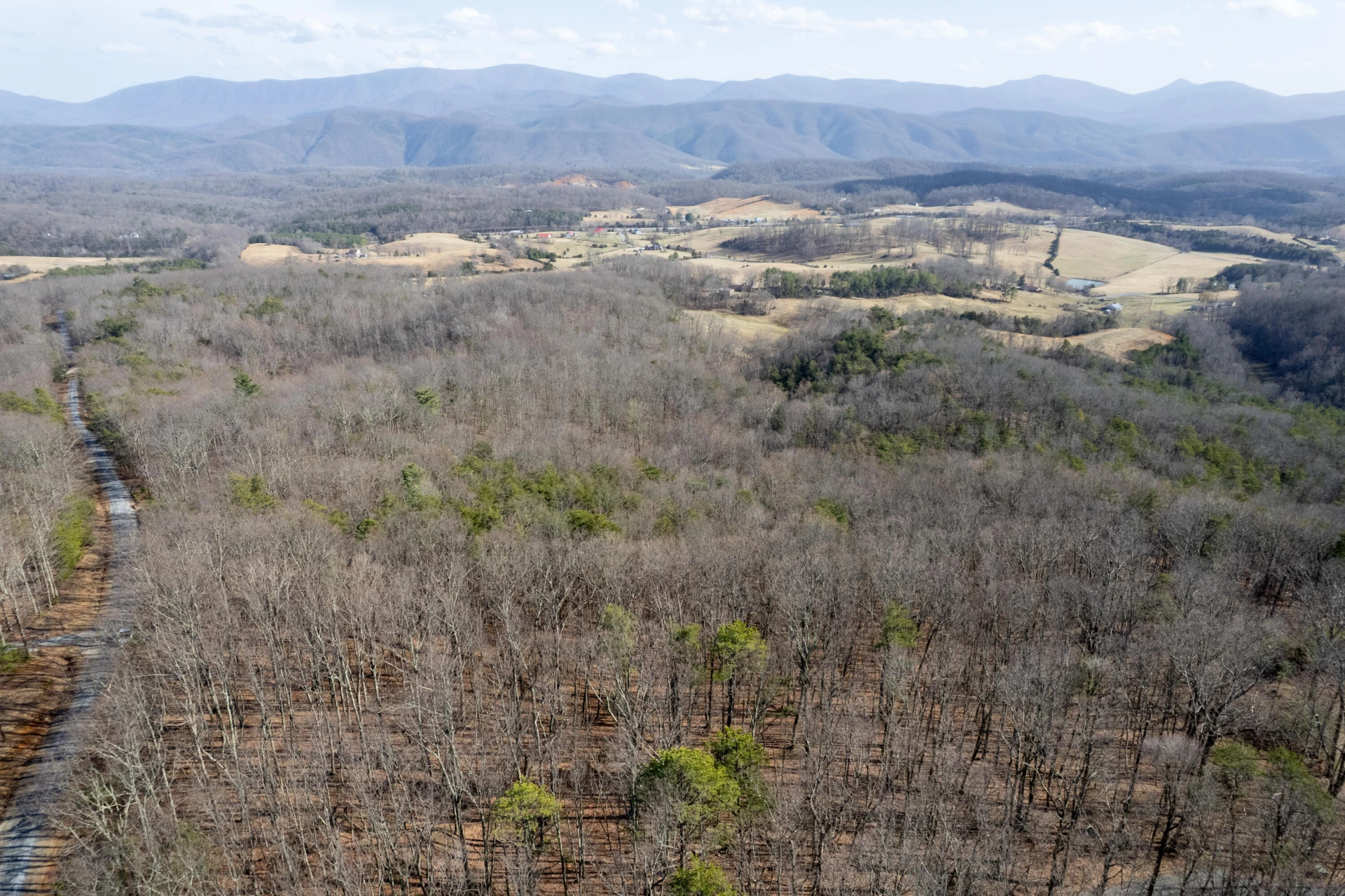 000 Short Hill Dr - Photo 16