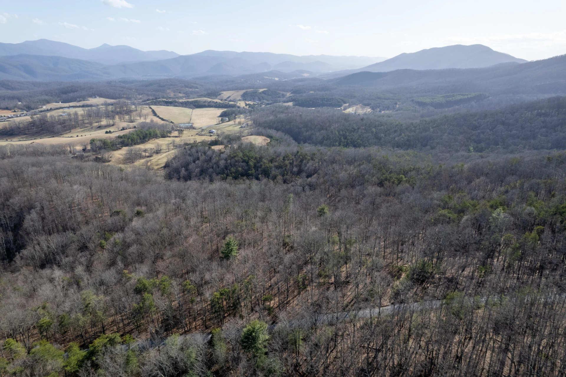 000 Short Hill Dr - Photo 4