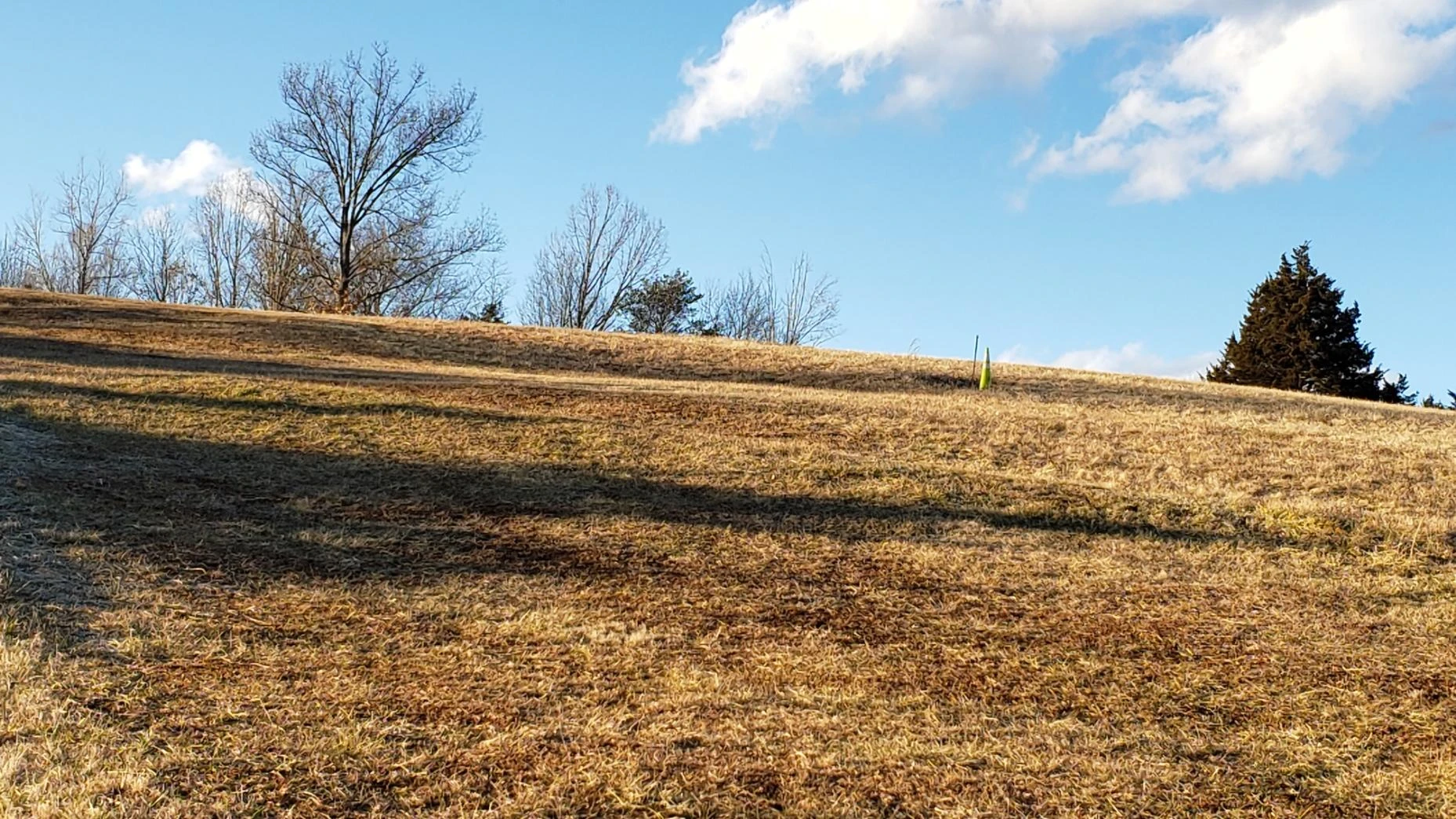 2.4 Ac. Waddell St - Photo 3