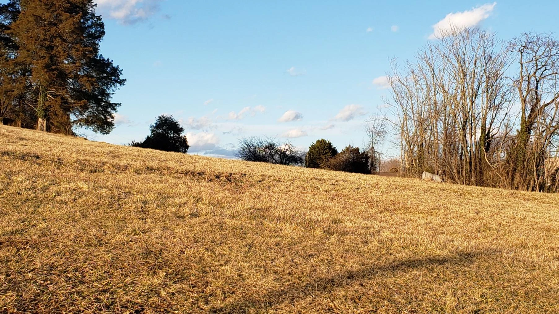 2.4 Ac. Waddell St - Photo 5
