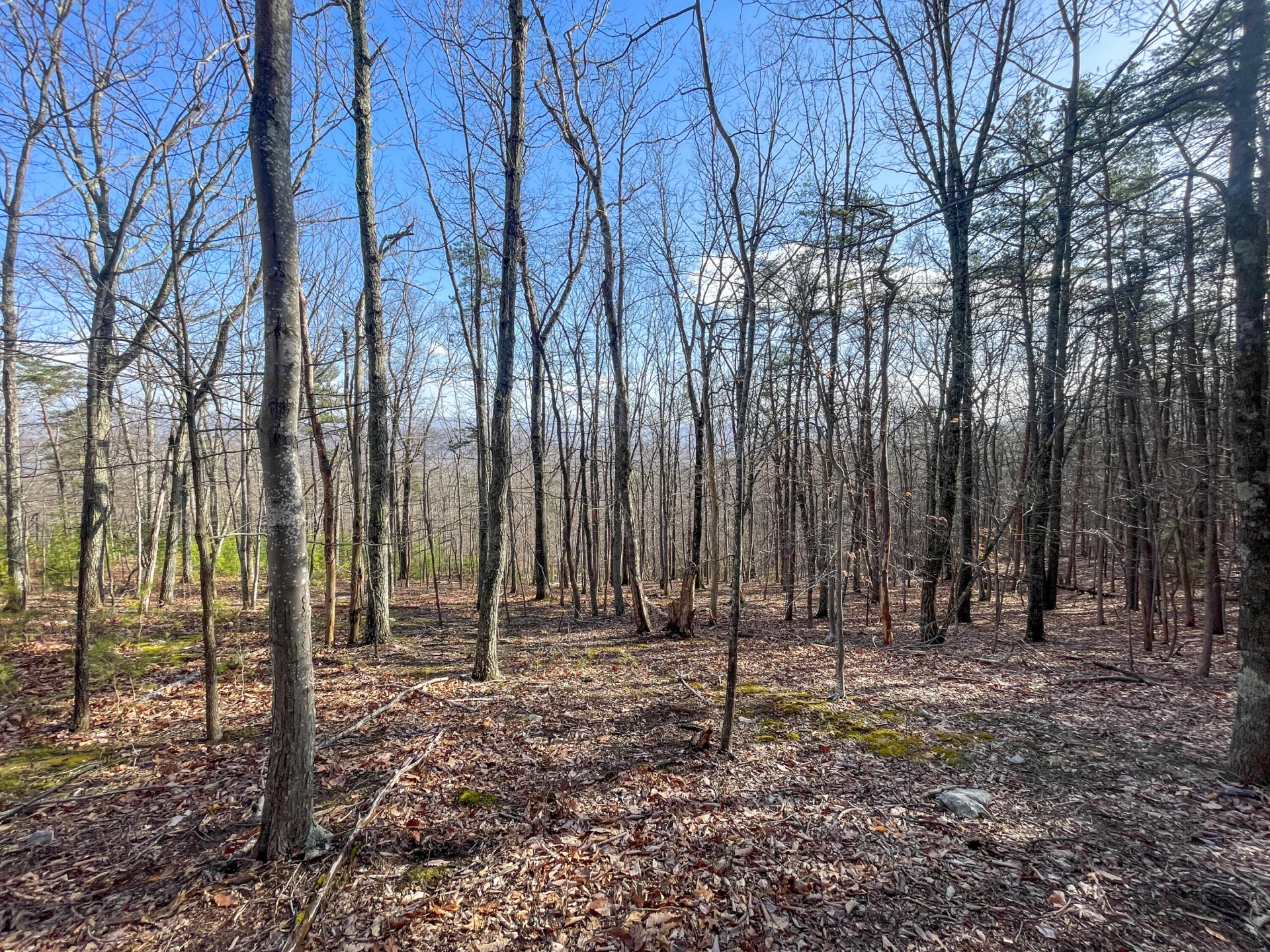 000 SHort Hill Dr - Photo 11