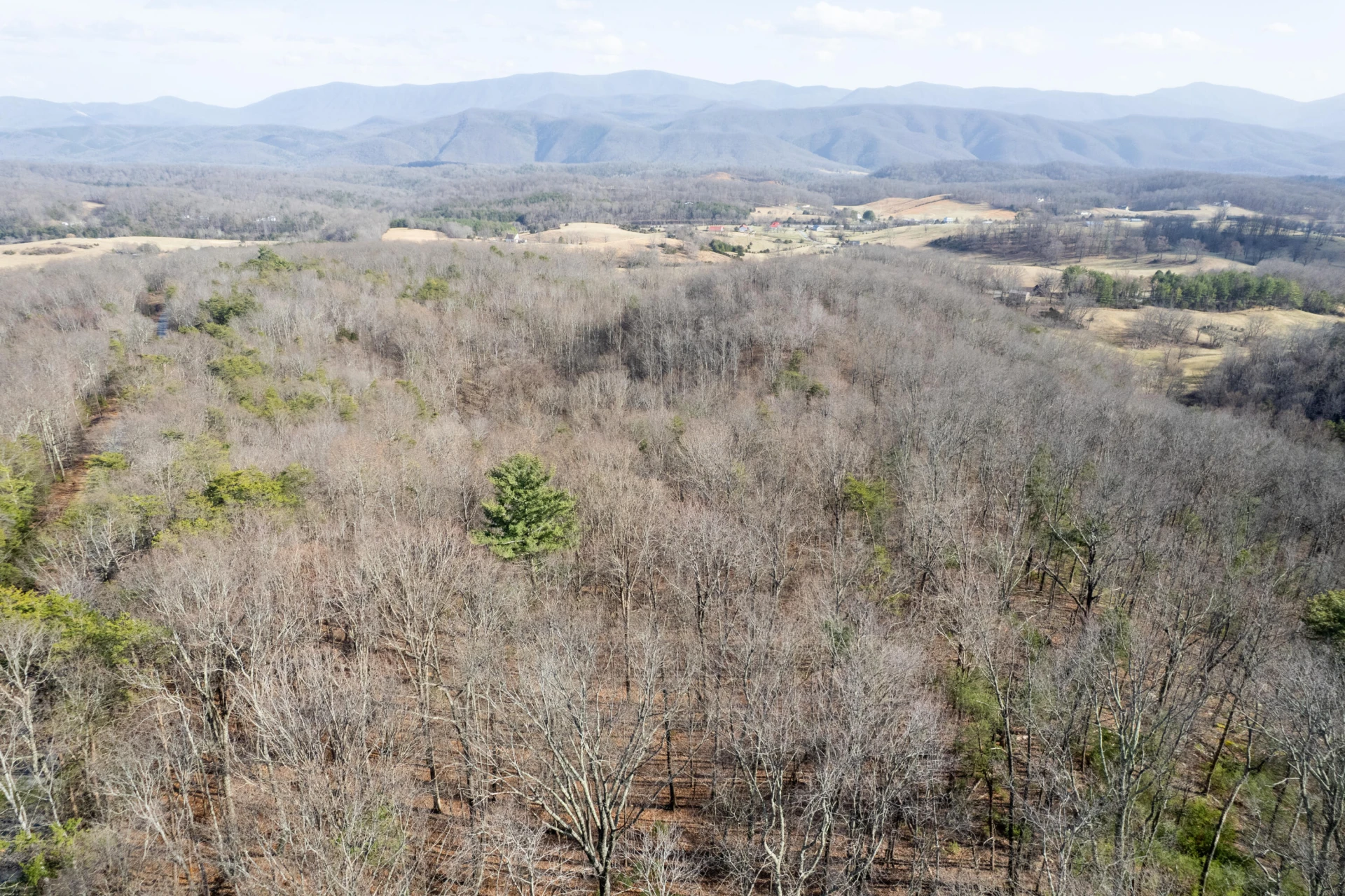000 SHort Hill Dr - Photo 5