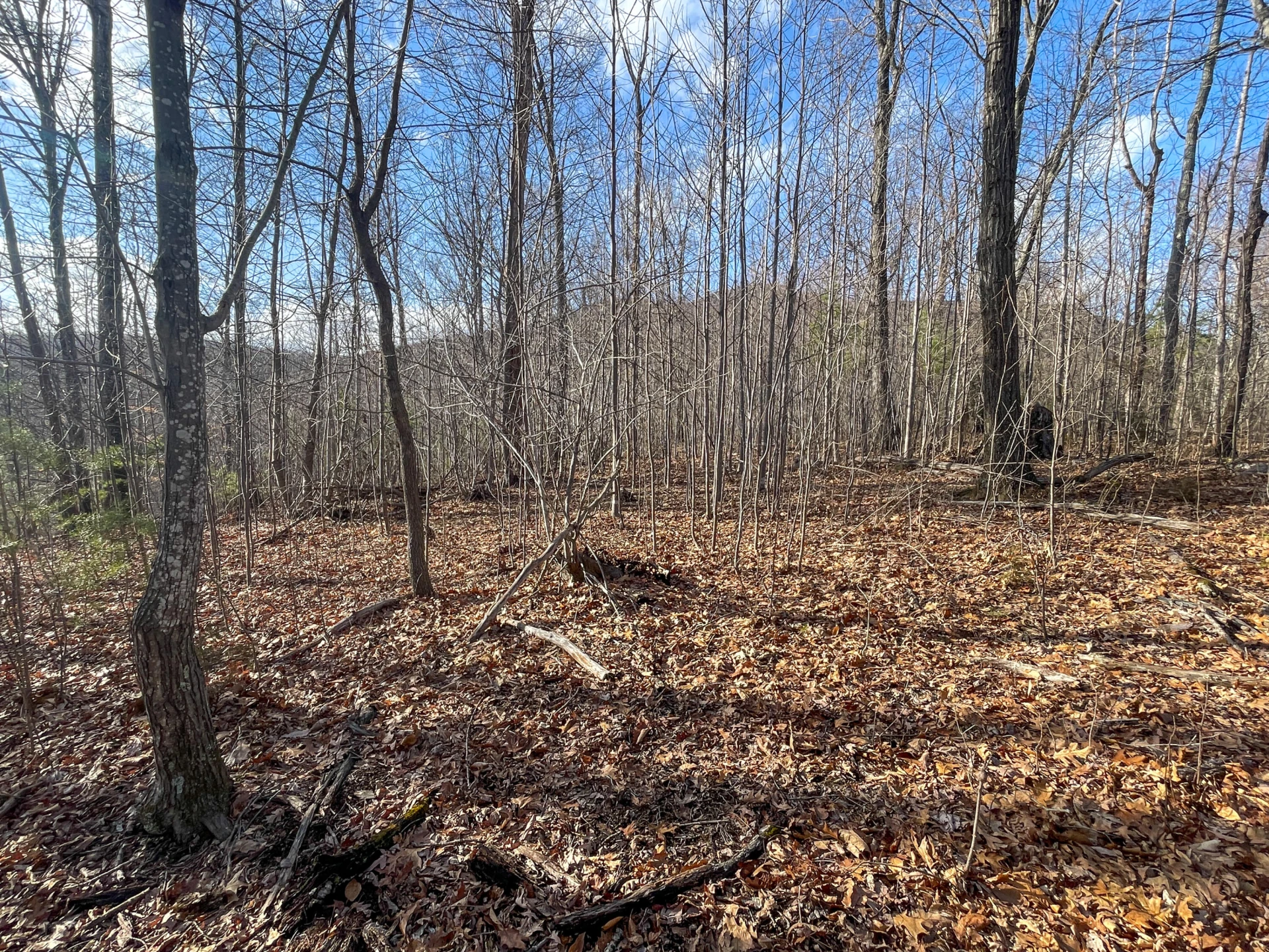 000 SHort Hill Dr - Photo 6