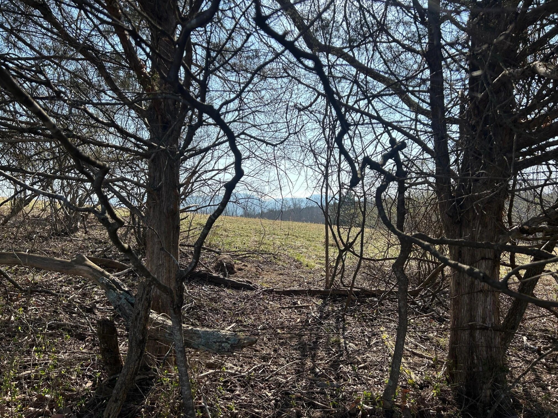 0 Longview Meadow Dr - Photo 8