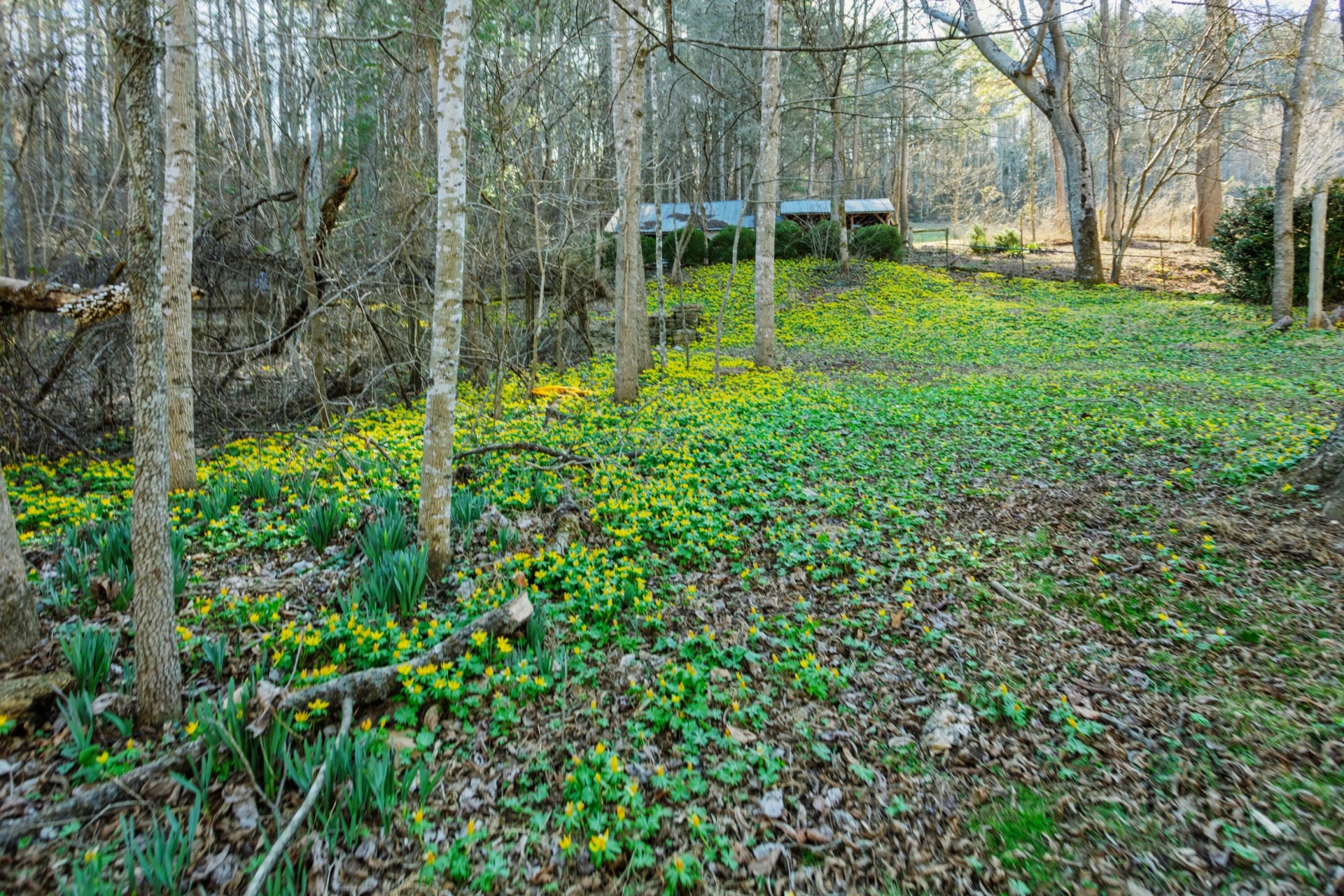 599 Lindsay Ln - Photo 67