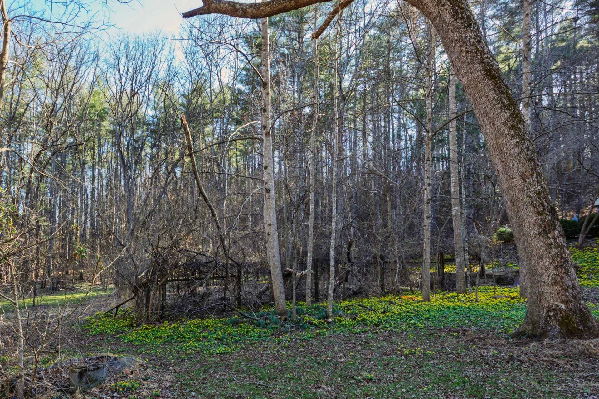 599 Lindsay Ln - Photo 69