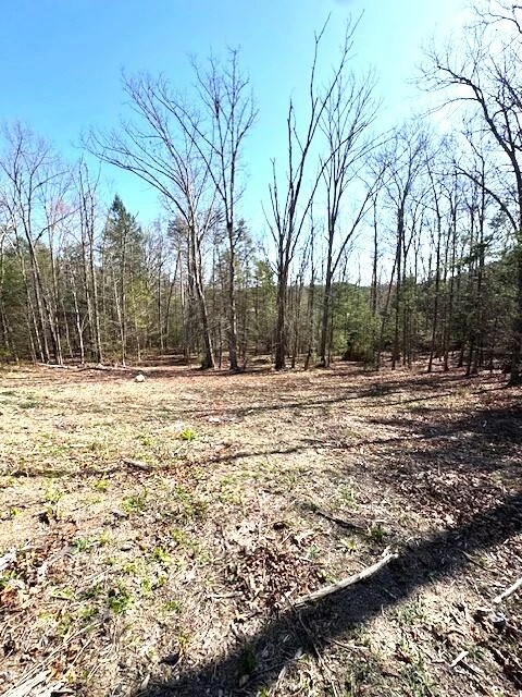 110 Pioneer Rd - Photo 37