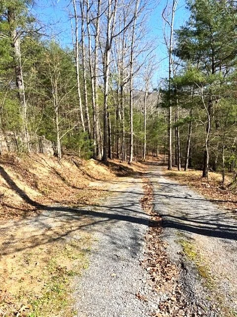 110 Pioneer Rd - Photo 38