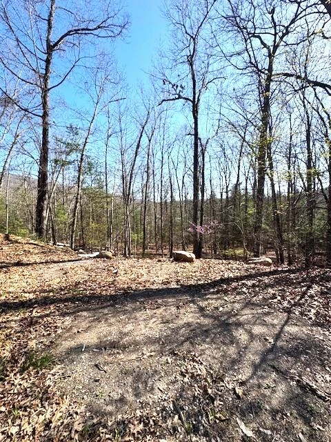110 Pioneer Rd - Photo 39