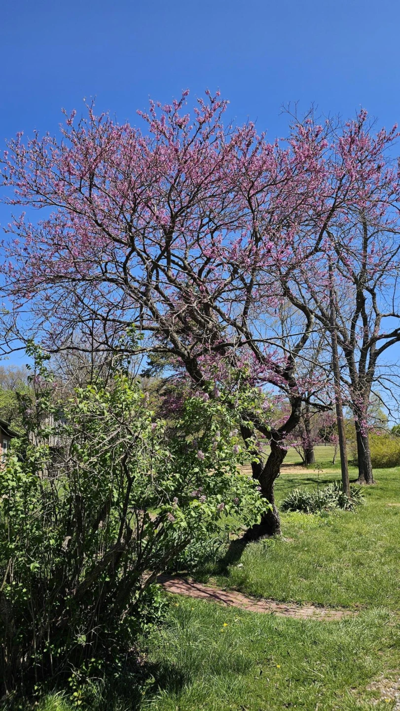 775 Newport Rd - Photo 35