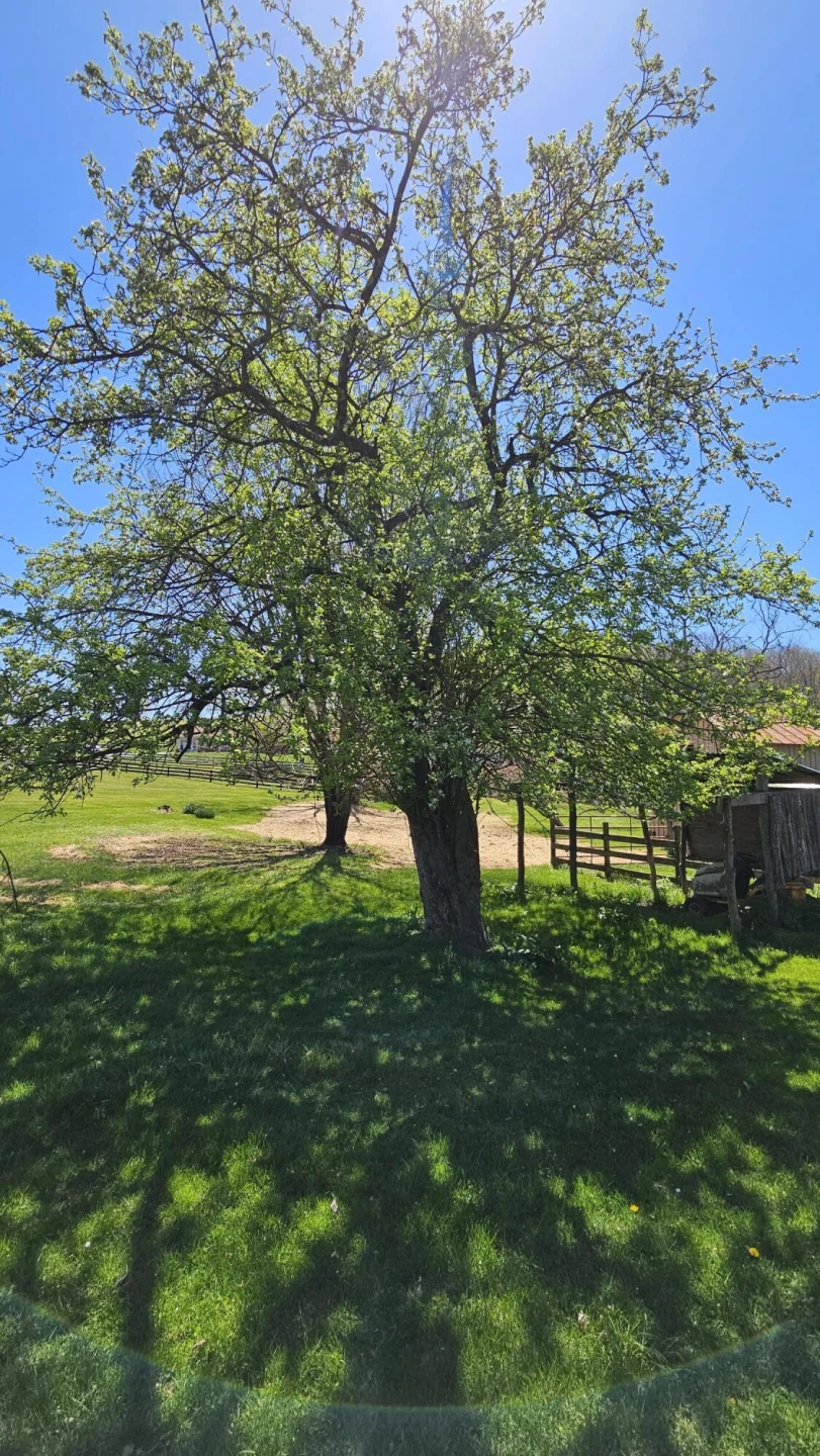 775 Newport Rd - Photo 44