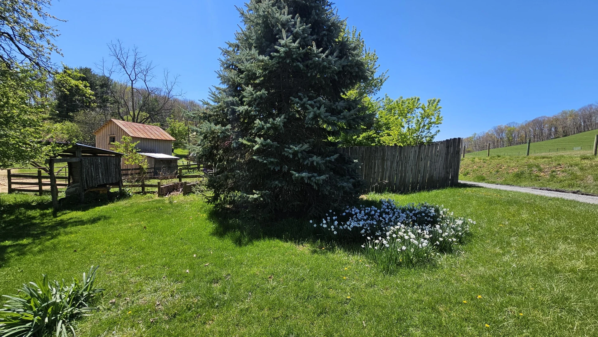 775 Newport Rd - Photo 46