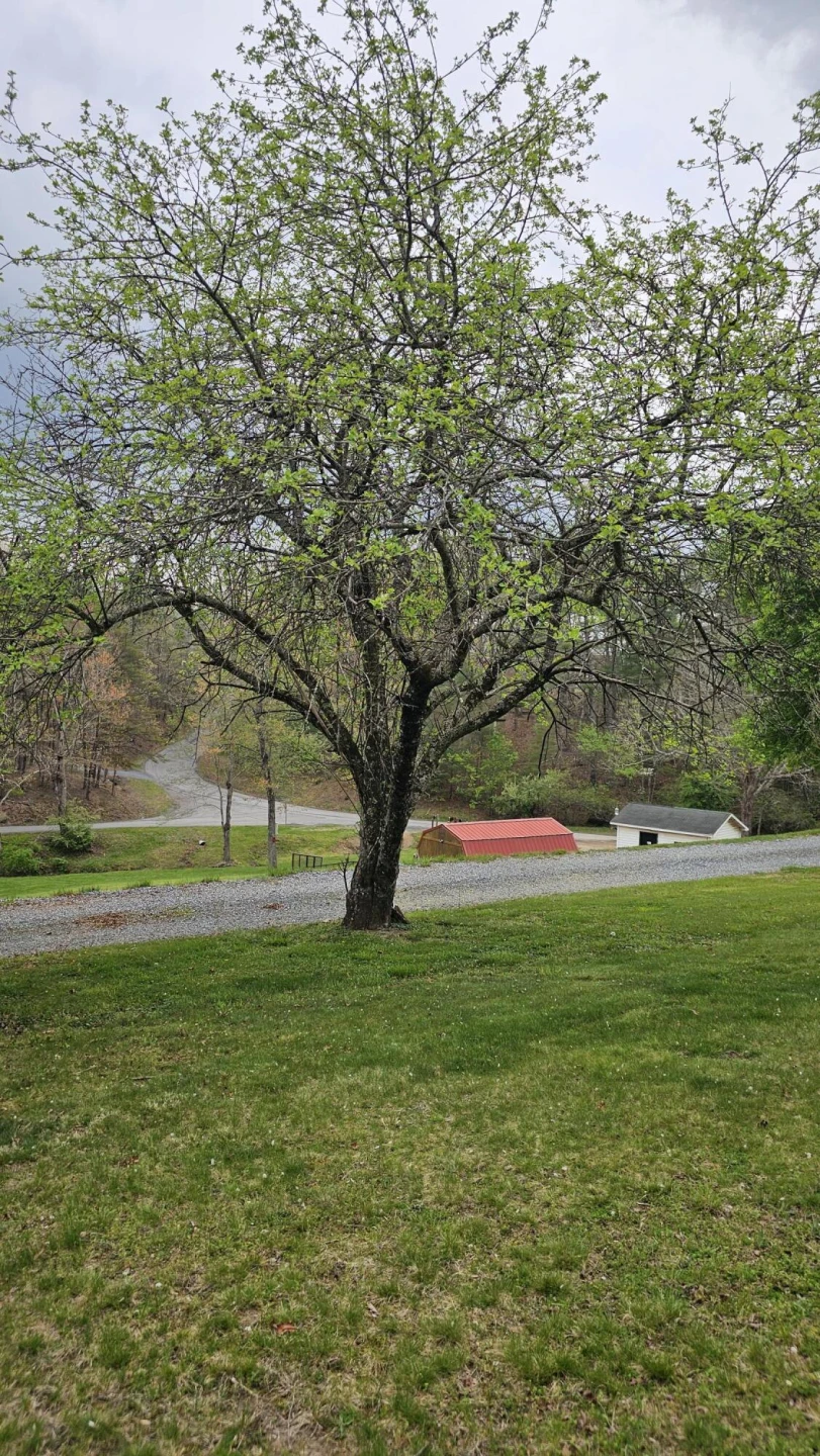 59 Rainbow Hill Dr - Photo 32