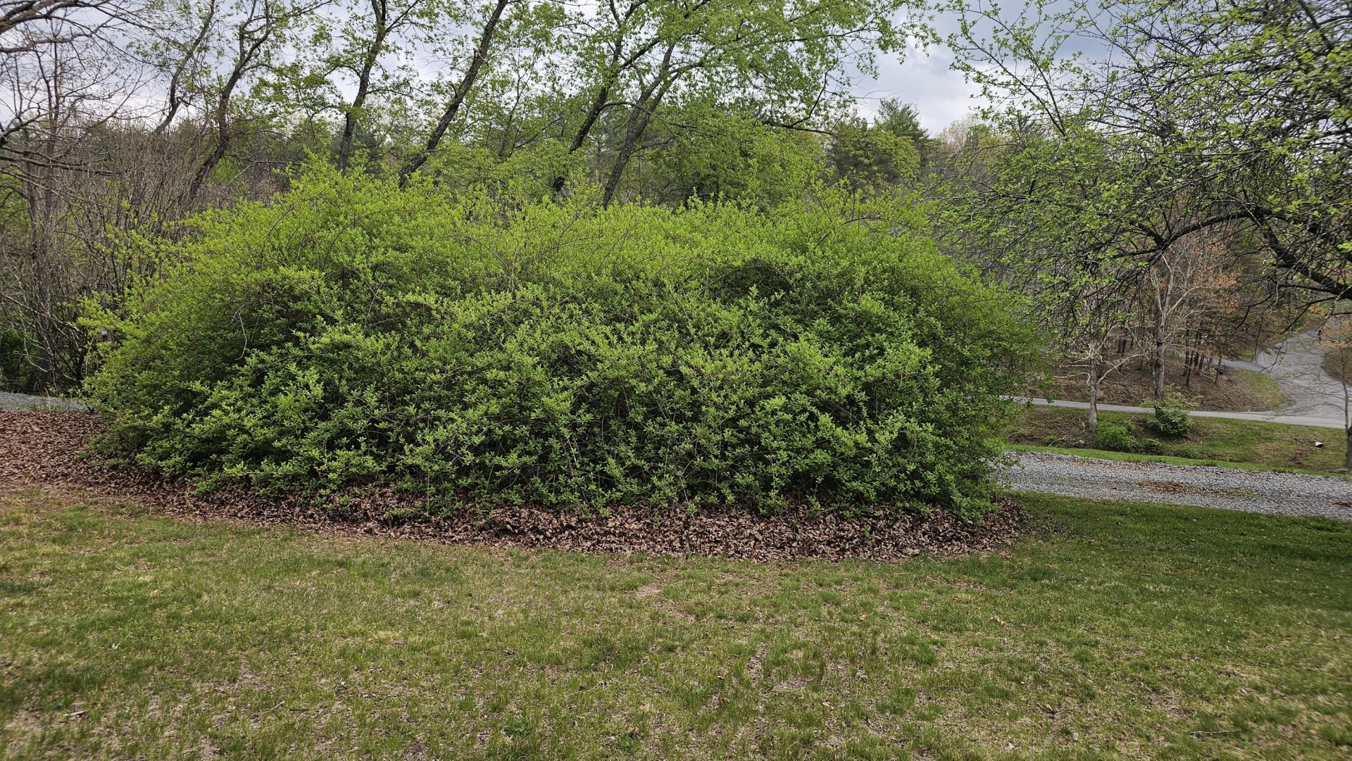 59 Rainbow Hill Dr - Photo 33