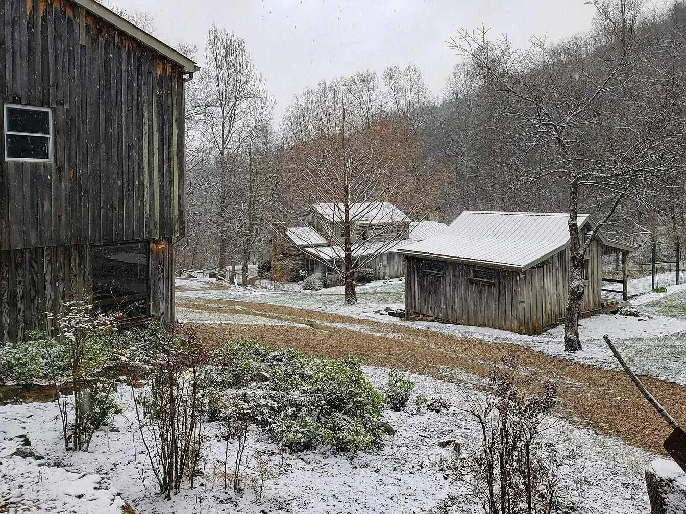 195 Shake Rag Rd - Photo 102