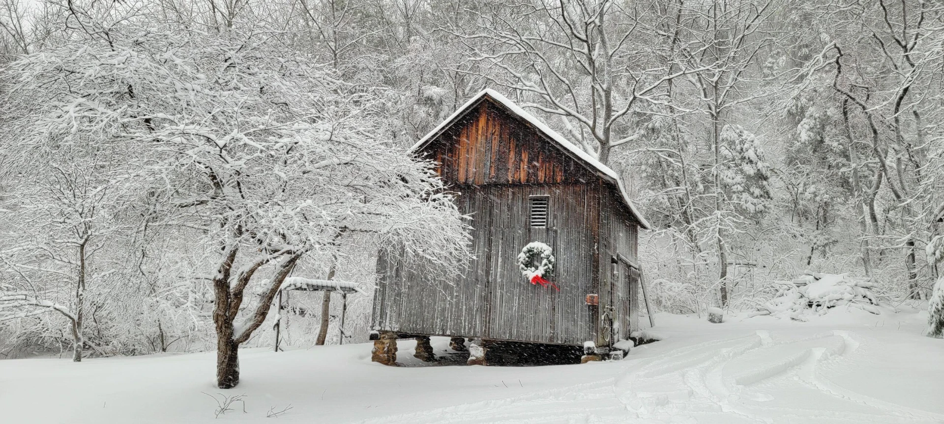 195 Shake Rag Rd - Photo 108