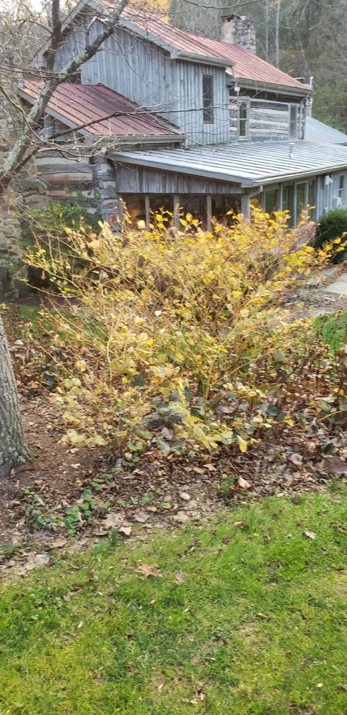 195 Shake Rag Rd - Photo 109