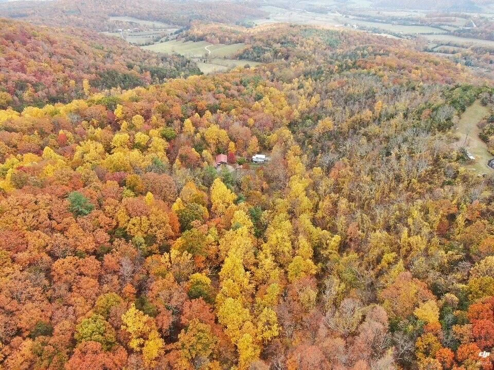 195 Shake Rag Rd - Photo 110