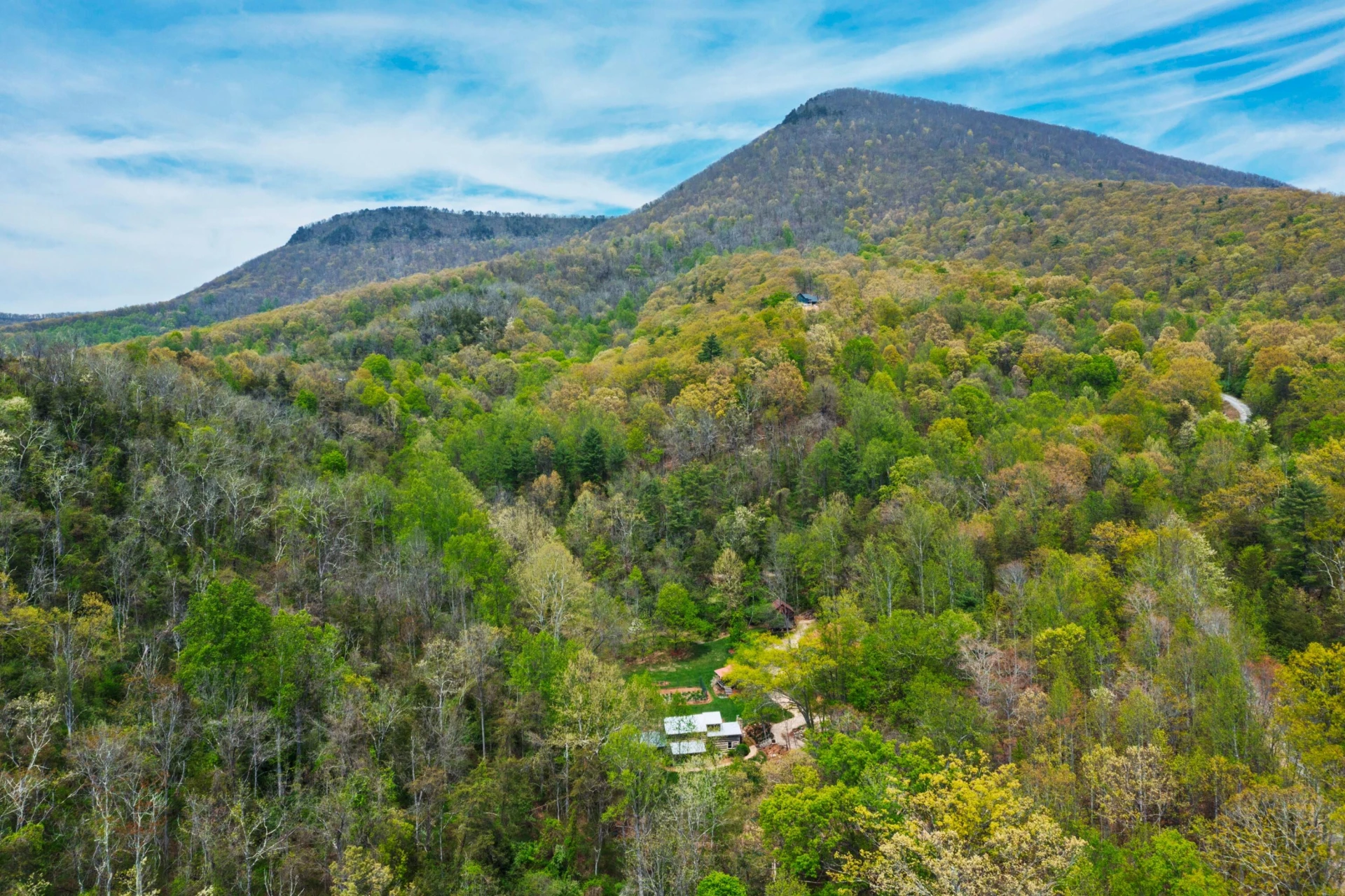 195 Shake Rag Rd - Photo 2