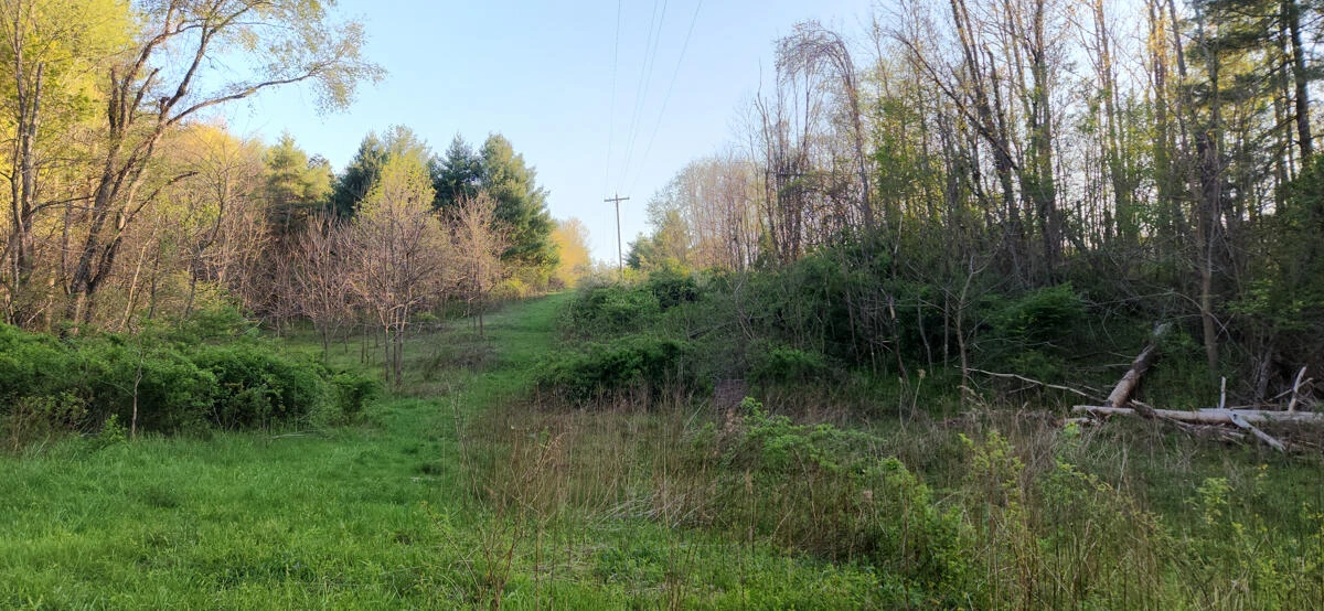 1120 Sam Snead Highway - Photo 13