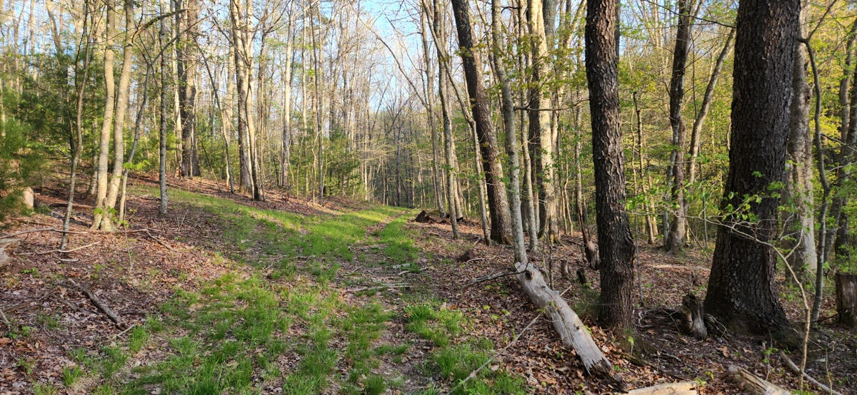 1120 Sam Snead Highway - Photo 14