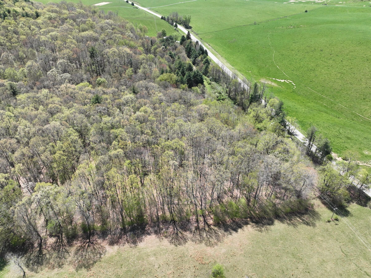 1120 Sam Snead Highway - Photo 15