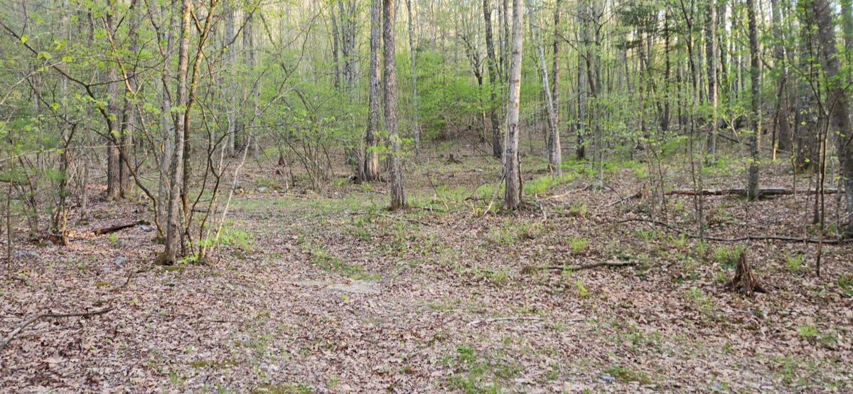 1120 Sam Snead Highway - Photo 16