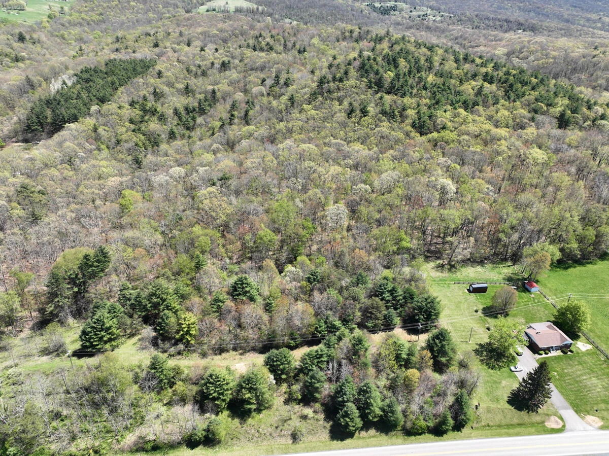 1120 Sam Snead Highway - Photo 18