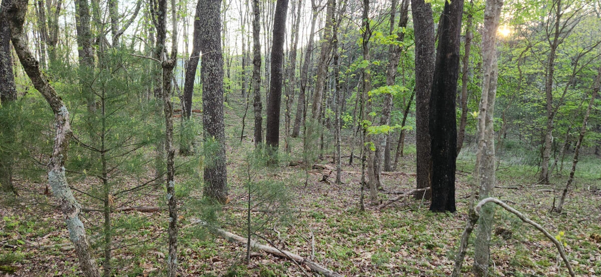 1120 Sam Snead Highway - Photo 19