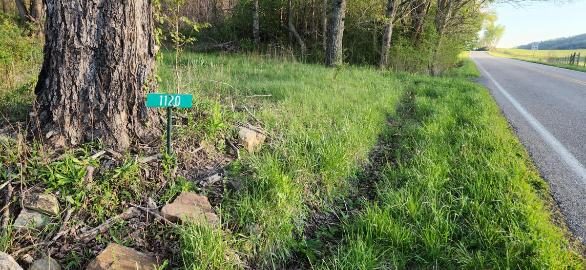 1120 Sam Snead Highway - Photo 2