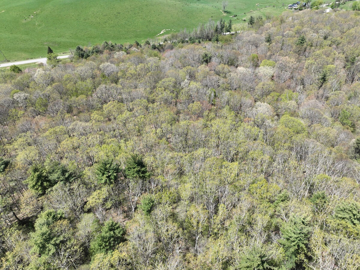 1120 Sam Snead Highway - Photo 20