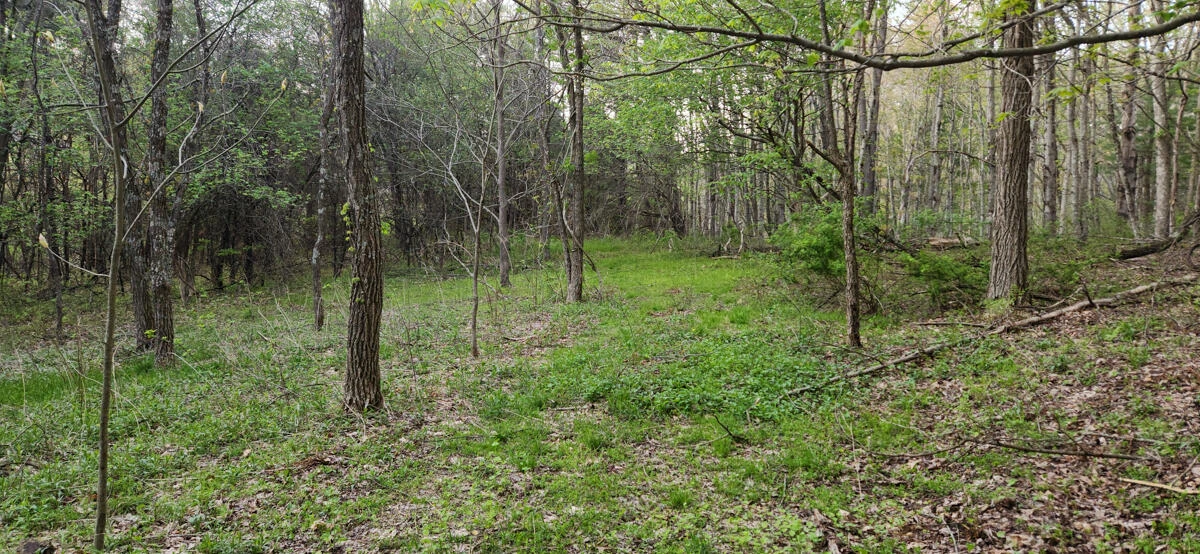 1120 Sam Snead Highway - Photo 22