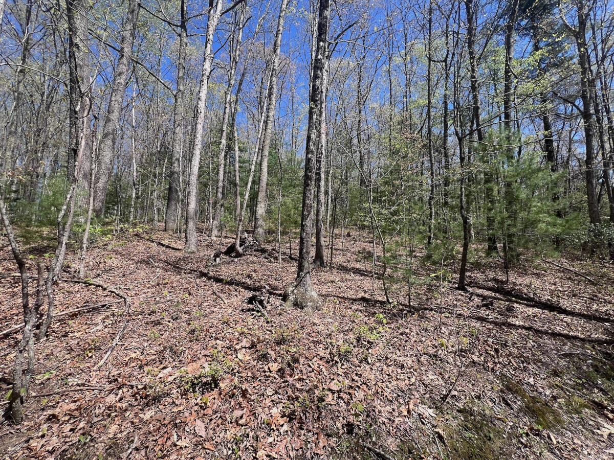 1120 Sam Snead Highway - Photo 23