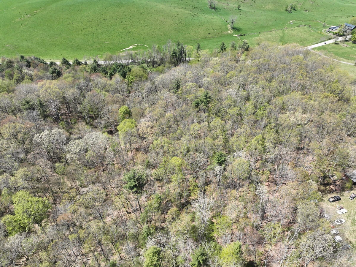 1120 Sam Snead Highway - Photo 26