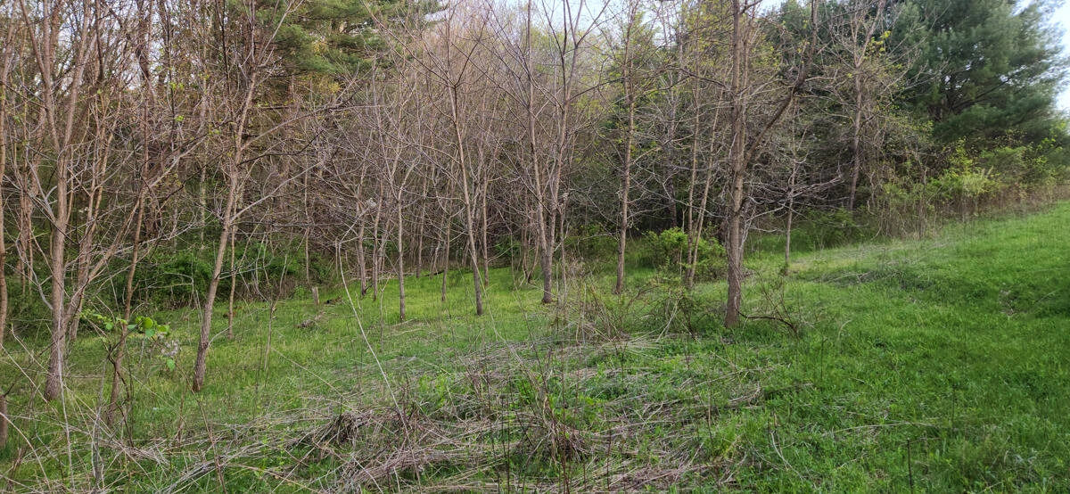 1120 Sam Snead Highway - Photo 27